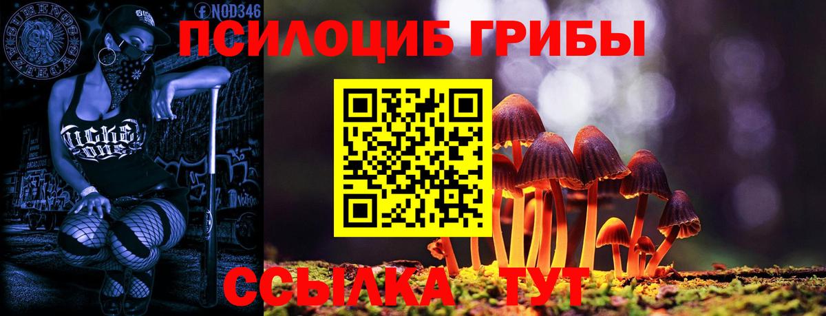 Вичуга  Псилоцибиновые грибы Psilocybe  Псилоцибиновые грибы MAGIC MUSHROOMS  Вход с VPN 