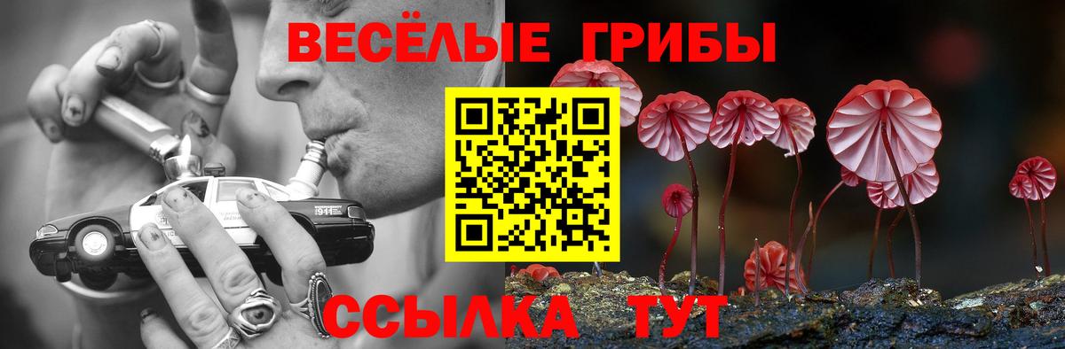 Псилоцибиновые грибы мицелий Вичуга